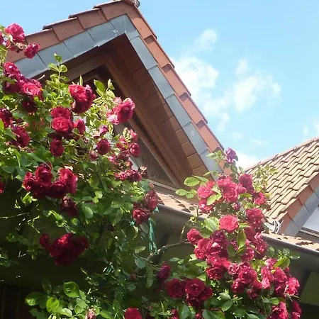 Appartement Biodohrn *