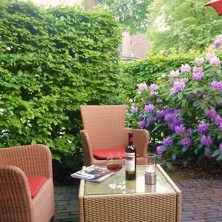 Biodohrn * باد سفيشنآن