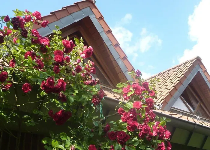 Апартаменты Biodohrn *