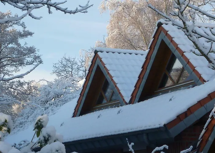 Biodohrn * Бад-Цвишенан